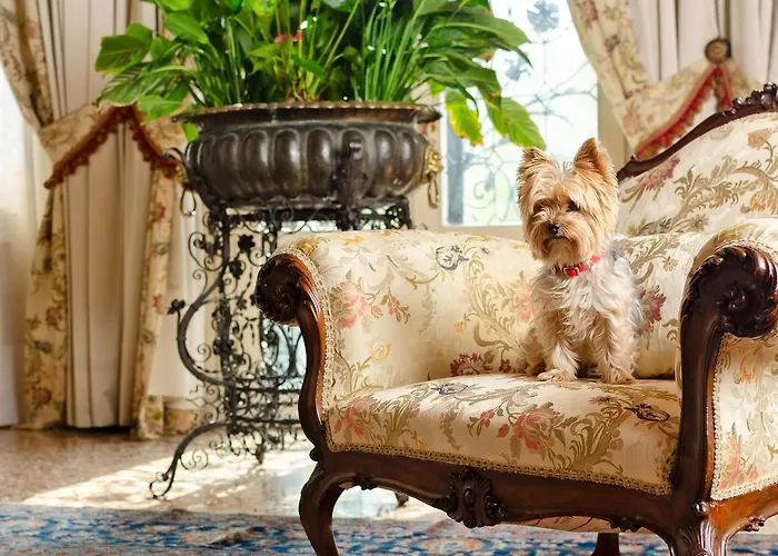 Bed & Breakfast Barbaro Gianese