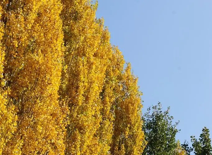 Barbaro Gianese Silea